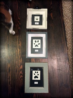 pet paw prints.jpg