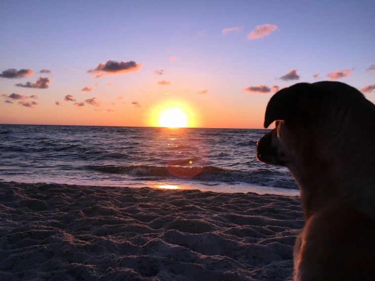 Globetrotting Prep Guide - Stella and the sunrise.JPG